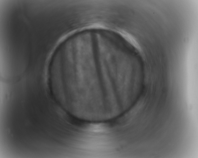 X0000088141264200706041330