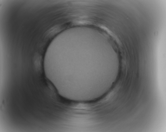 X0000088141265200706041330