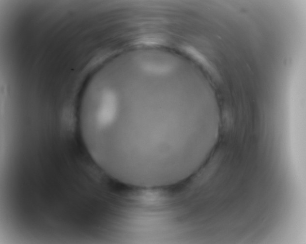 X0000088141266200706041330