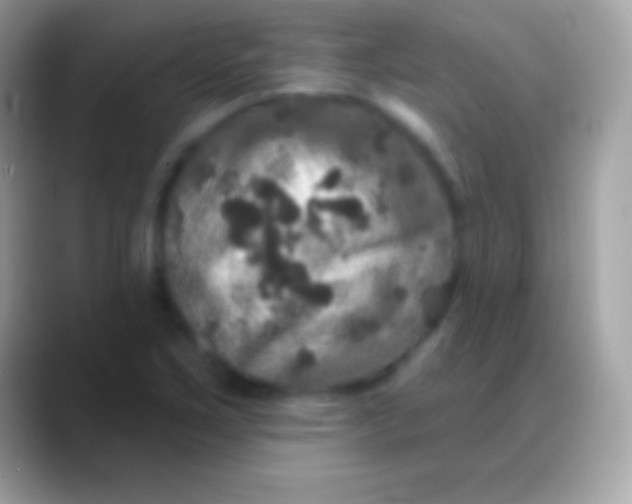 X0000088141267200706041330