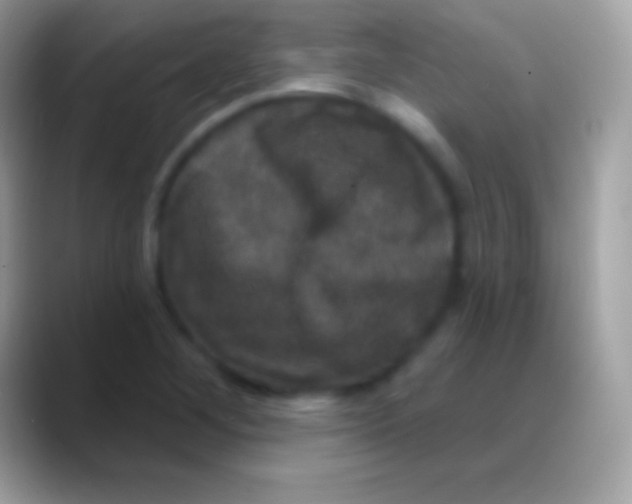 X0000088141268200706041330