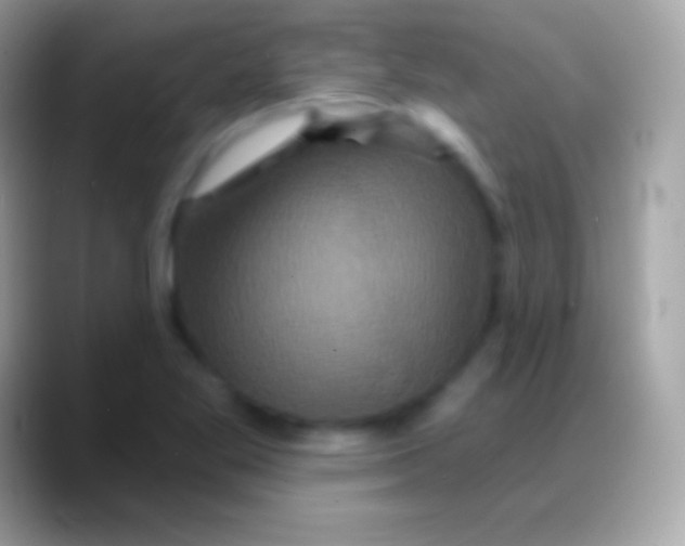 X0000088141269200706041330