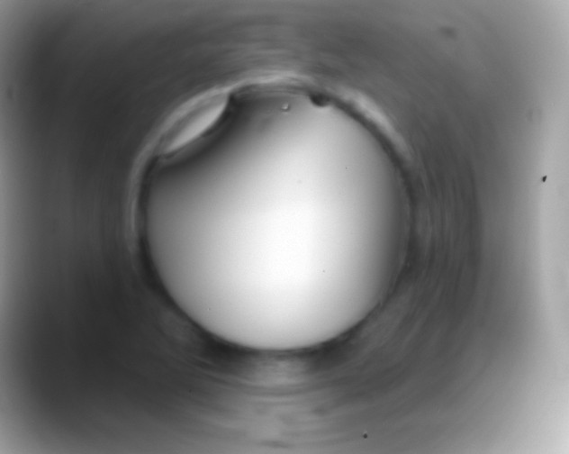 X0000088141270200706041330