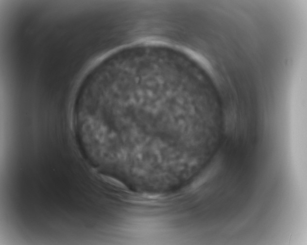 X0000088141271200706041330