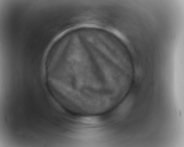 X0000088141272200706041330