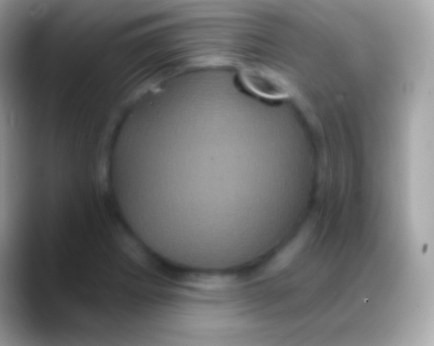 X0000088141273200706041330