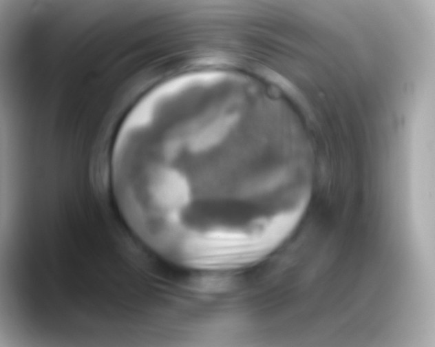 X0000088141274200706041330