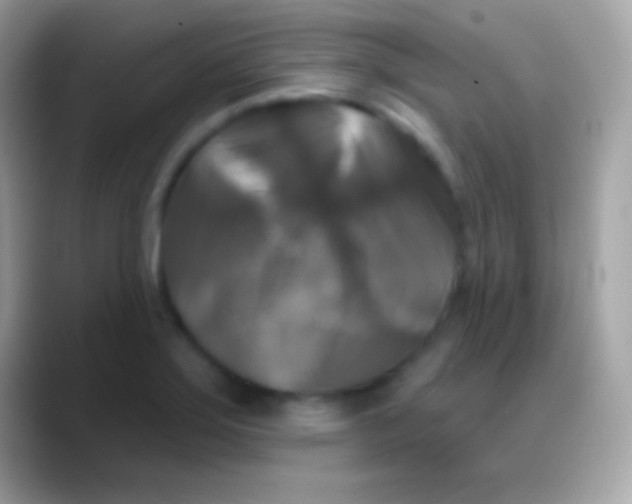 X0000088141275200706041330