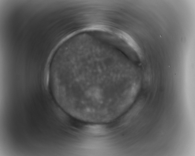 X0000088141276200706041330