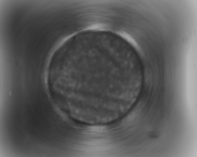 X0000088141277200706041330