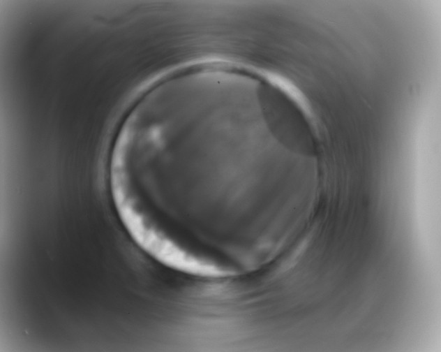 X0000088141279200706041330