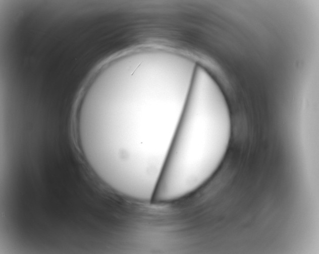 X0000088141280200706041330