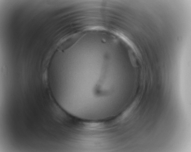 X0000088141281200706041330