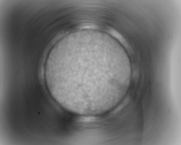 X0000088141282200706041330