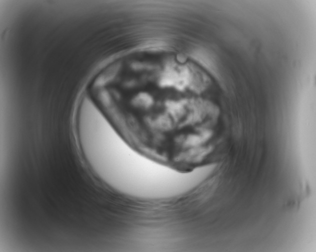 X0000088141283200706041330