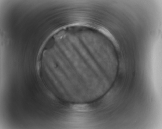 X0000088141284200706041330