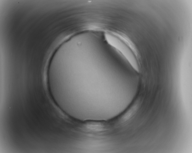 X0000088141285200706041330