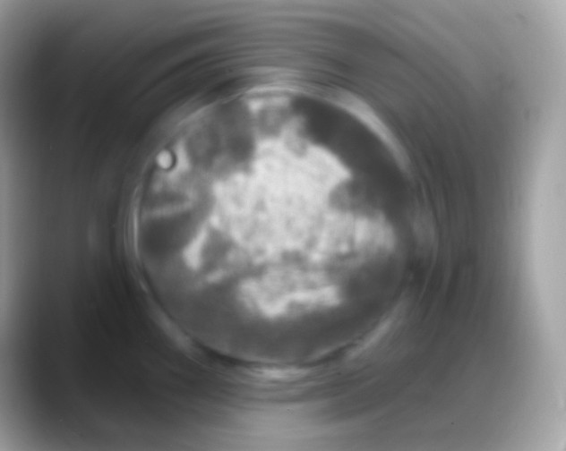 X0000088141290200706041330