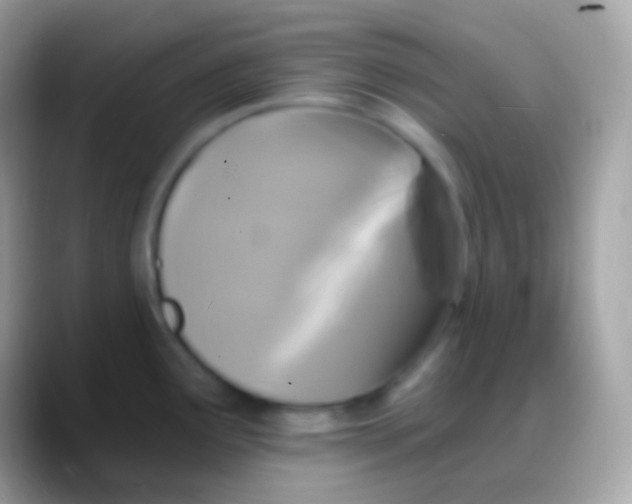 X0000088141291200706041330