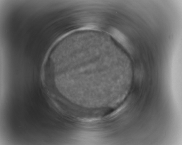 X0000088141292200706041330