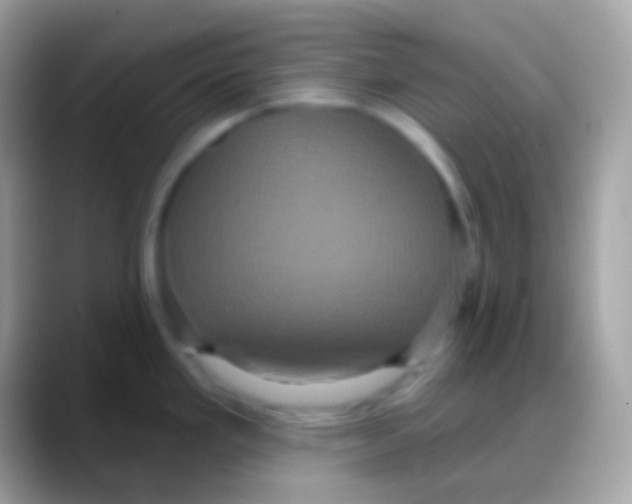 X0000088141293200706041330