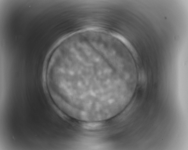 X0000088141294200706041330