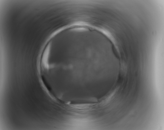 X0000088141295200706041330