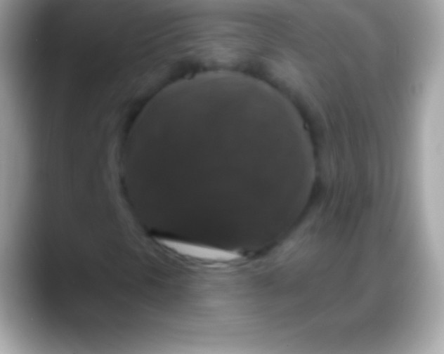 X0000088141297200706041330