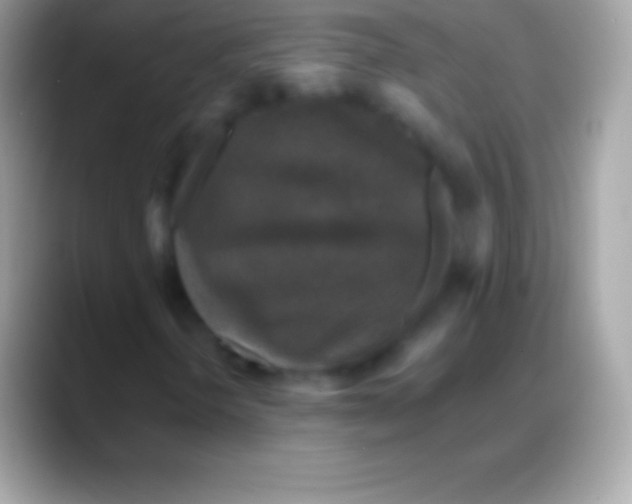 X0000088141298200706041330