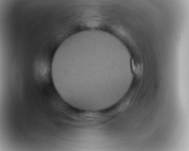 X0000088141299200706041330