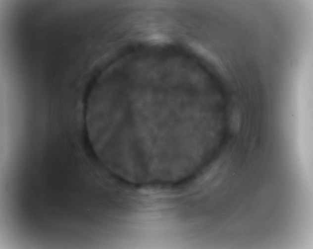 X0000088141301200706041330