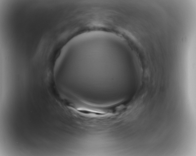 X0000088141303200706041330