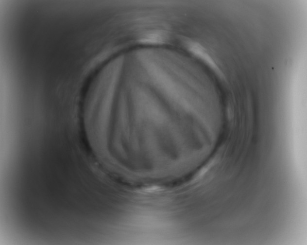 X0000088141304200706041330