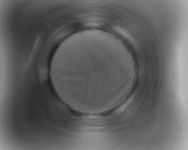 X0000088141306200706041330