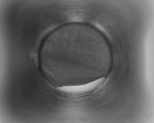 X0000088141307200706041330