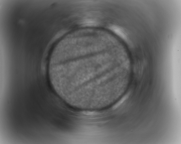 X0000088141309200706041330