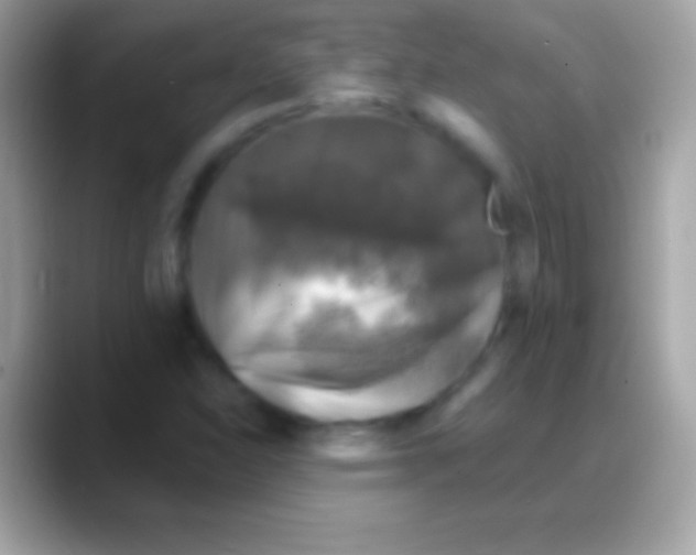 X0000088141310200706041330