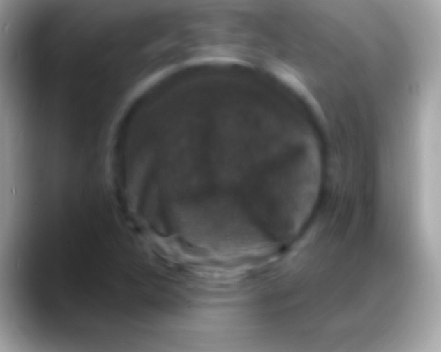 X0000088141312200706041330