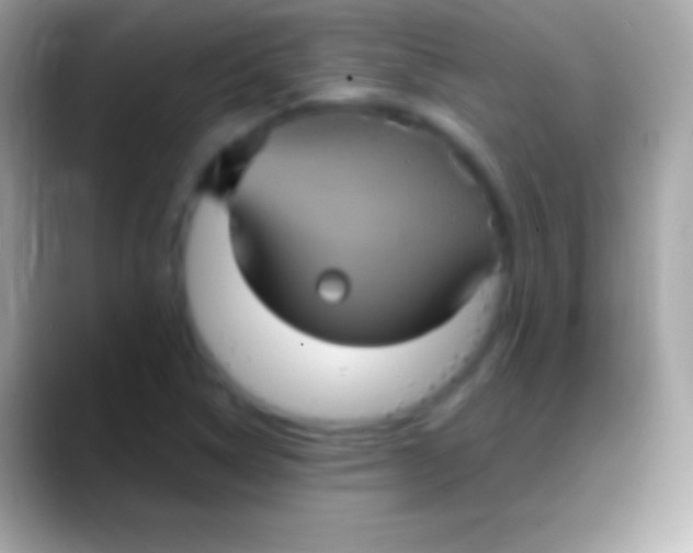 X0000088141314200706041330