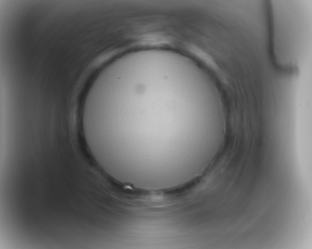 X0000088141315200706041330