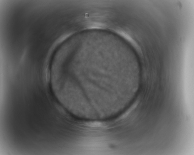 X0000088141317200706041330