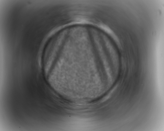 X0000088141318200706041330