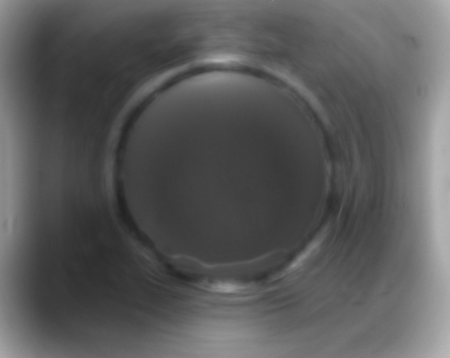 X0000088141319200706041330