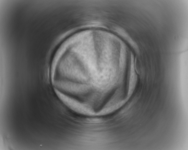 X0000088141320200706041330