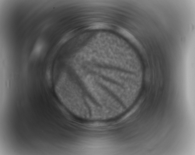 X0000088141321200706041330