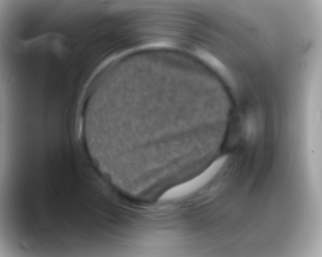 X0000088141324200706041330