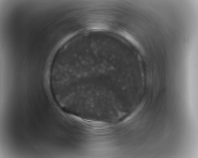 X0000088141325200706041330