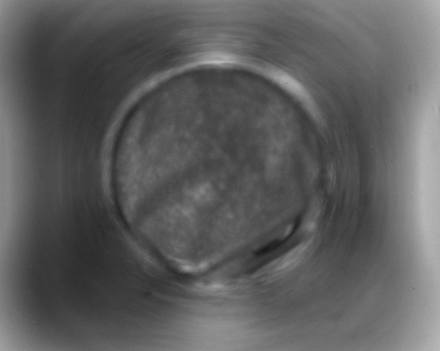 X0000088141326200706041330