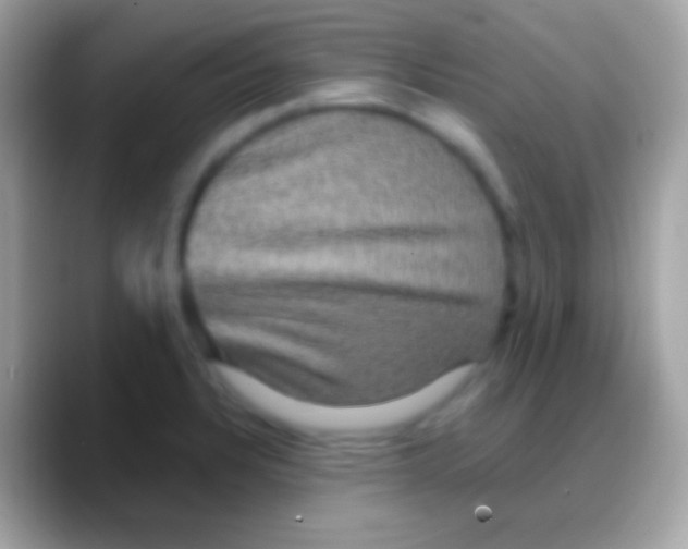 X0000088141328200706041330