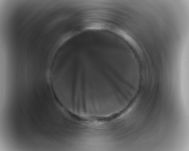 X0000088141329200706041330